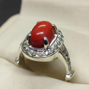 Australian Deep Red Coral Women’s Solitaire Ring